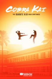 Cobra Kai http://netplay.wavenet-lb.net/tv?year=2018