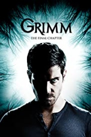 Grimm http://netplay.wavenet-lb.net/tv?year=2011