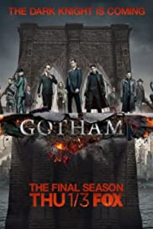 Gotham http://netplay.wavenet-lb.net/tv?year=2014