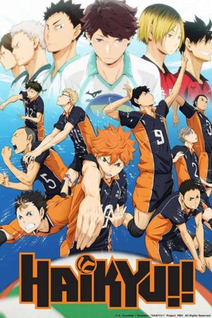 Haikyuu http://netplay.wavenet-lb.net/cartoons?year=2014