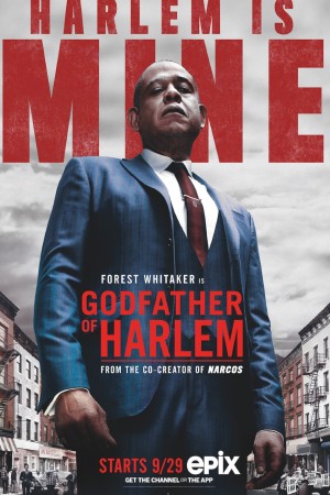 Godfather of Harlem http://netplay.wavenet-lb.net/tv?year=2019