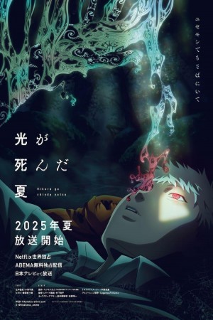 The Summer Hikaru Died http://netplay.wavenet-lb.net/cartoons?year=2025